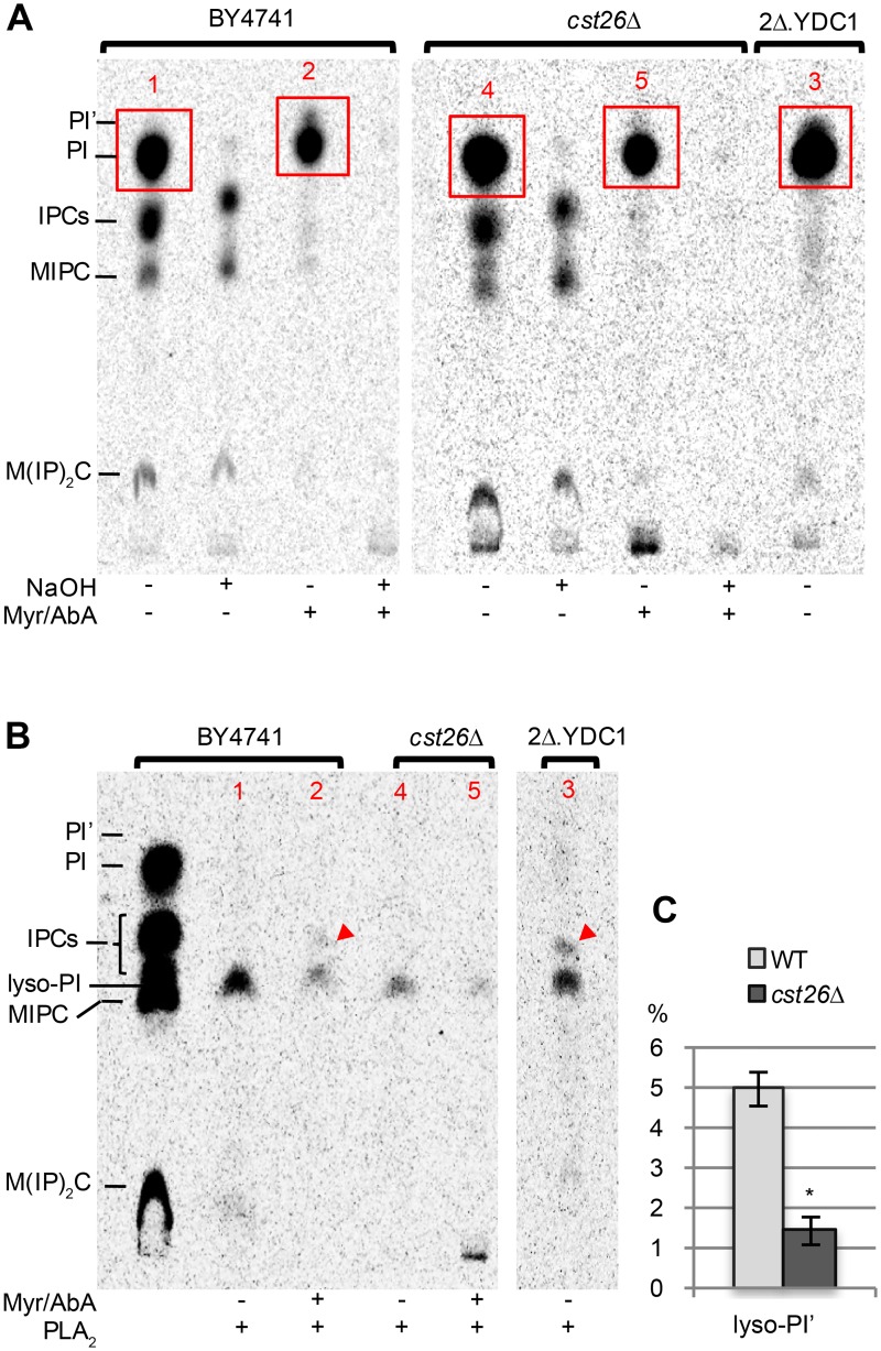 Fig 9