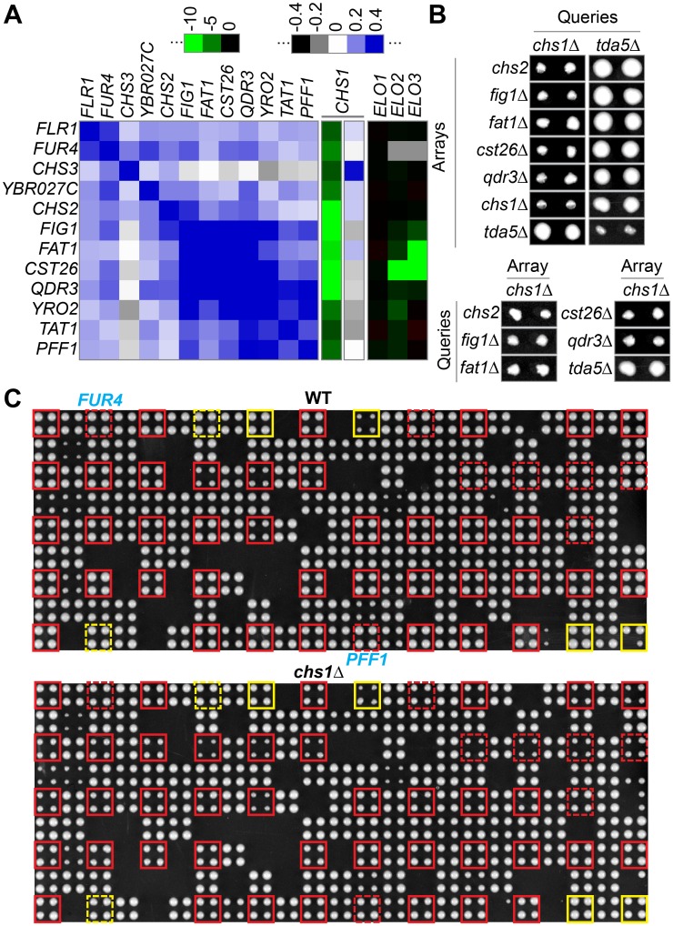 Fig 11