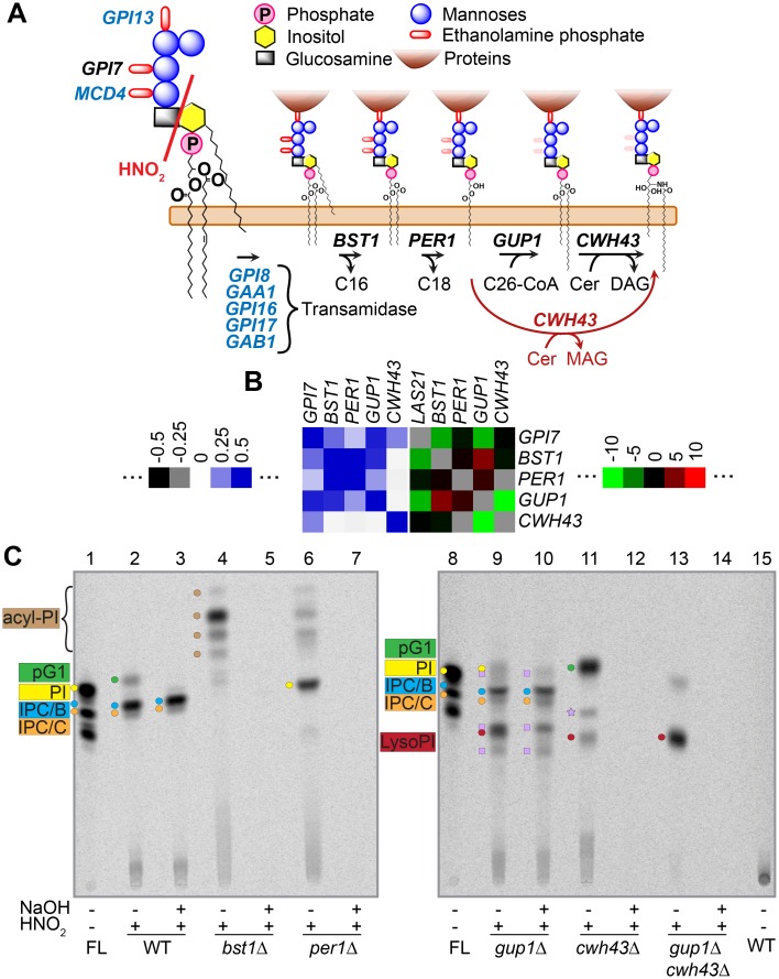 Fig 10