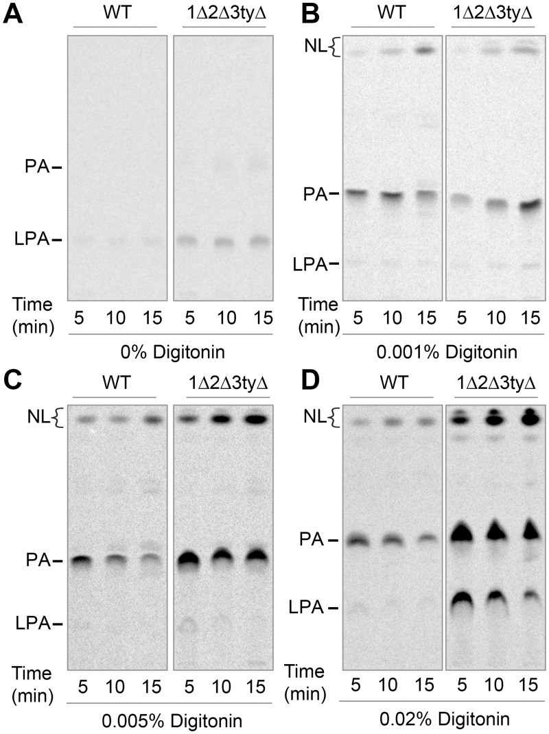 Fig 6