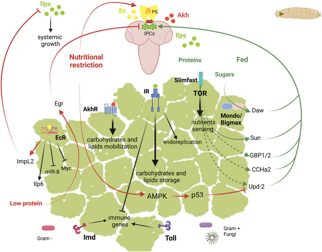 FIGURE 3