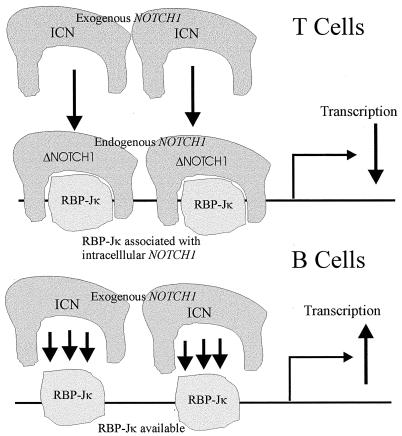 FIG. 6