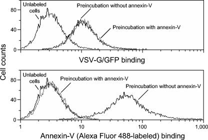 FIG. 5.