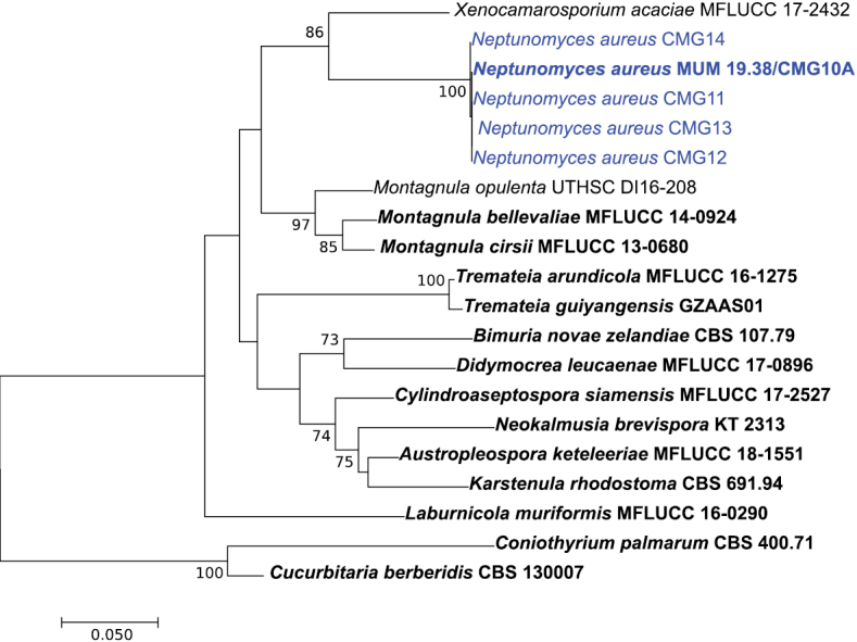 Figure 3.