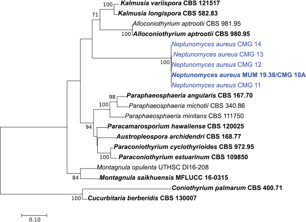 Figure 2.