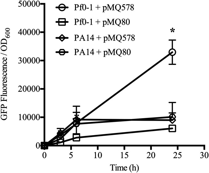 FIG 6