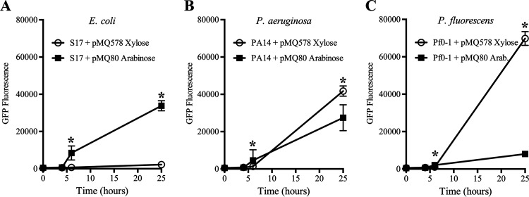 FIG 3