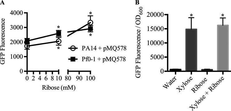 FIG 5