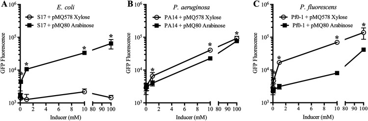 FIG 2