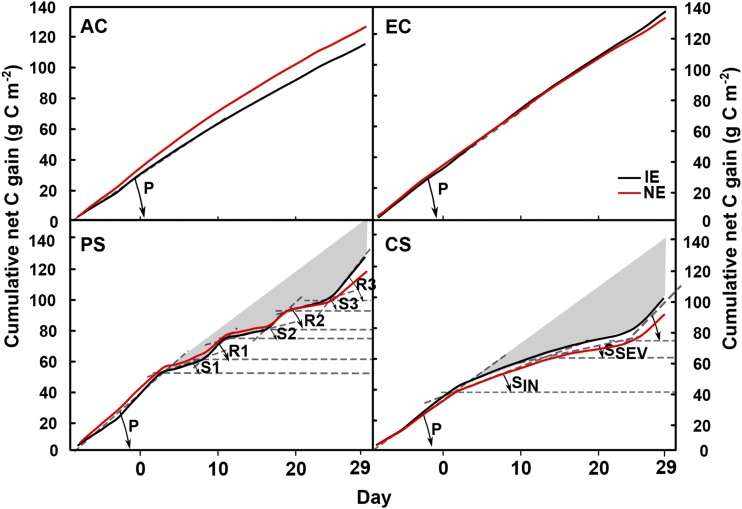 Figure 7.