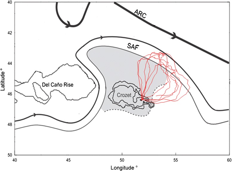 Fig. 5