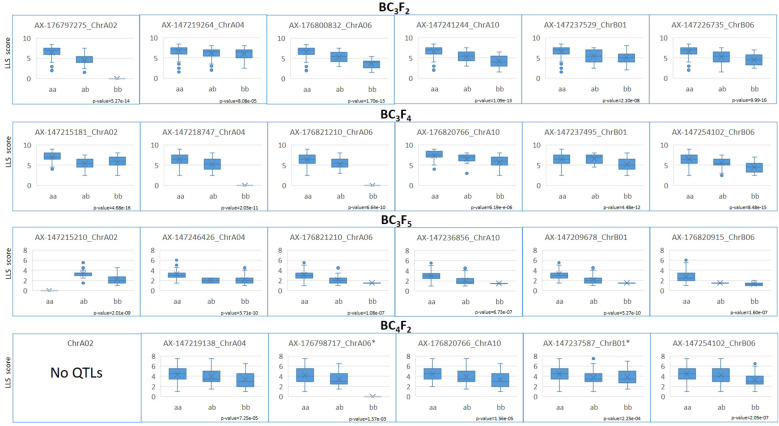 Figure 4