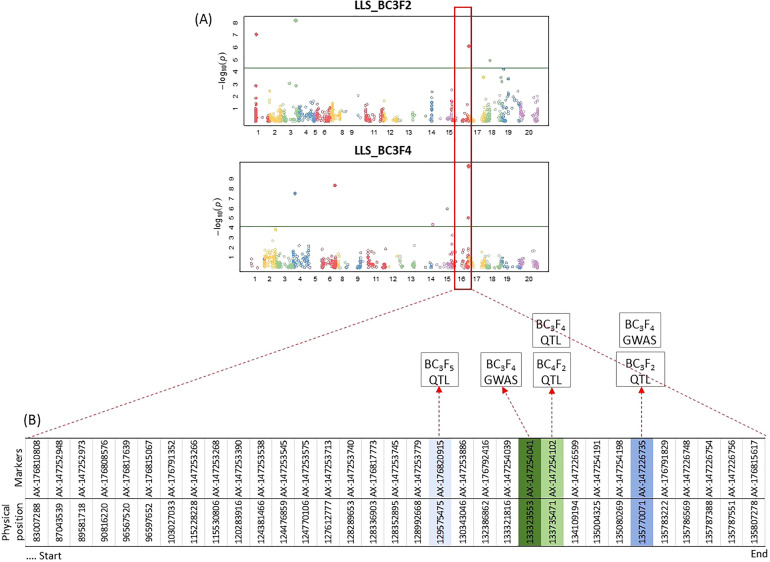 Figure 6