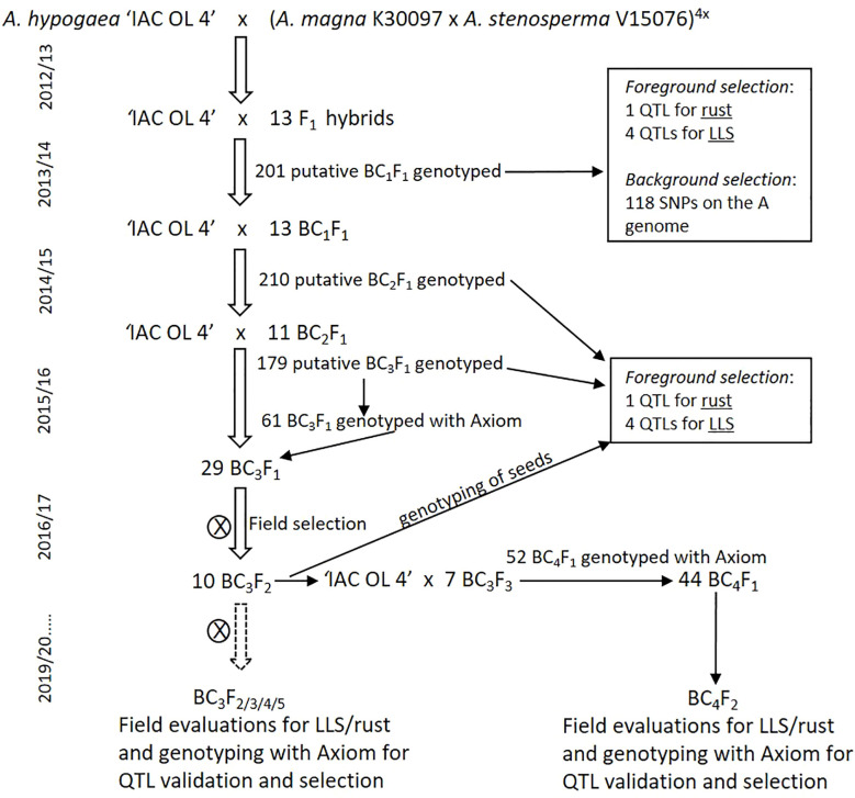 Figure 1