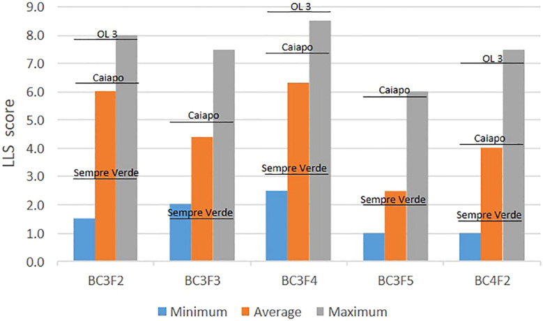 Figure 2