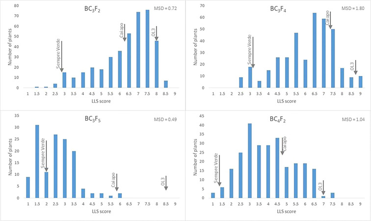 Figure 3