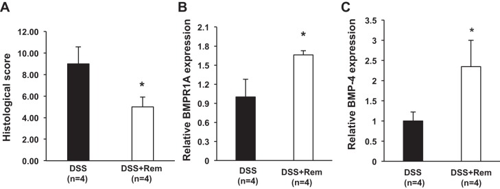 Fig. 10.