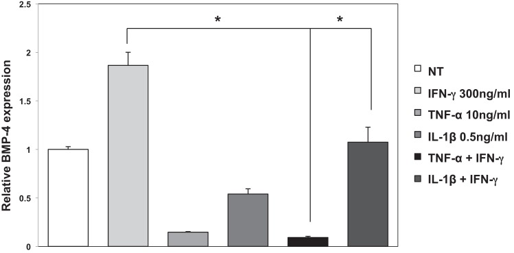 Fig. 9.