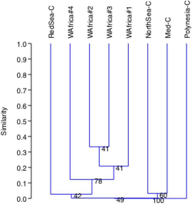 Figure 5