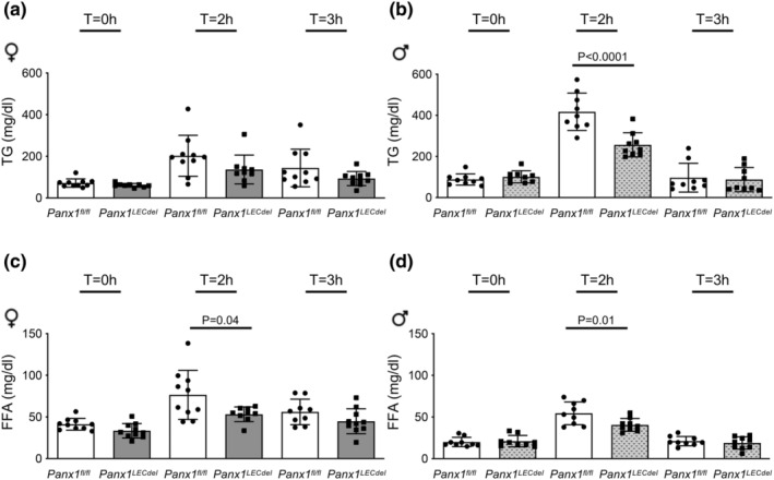 FIGURE 4