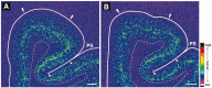 Figure 9.