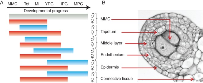 Fig. 9.