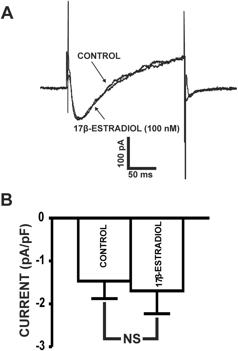 Fig 5