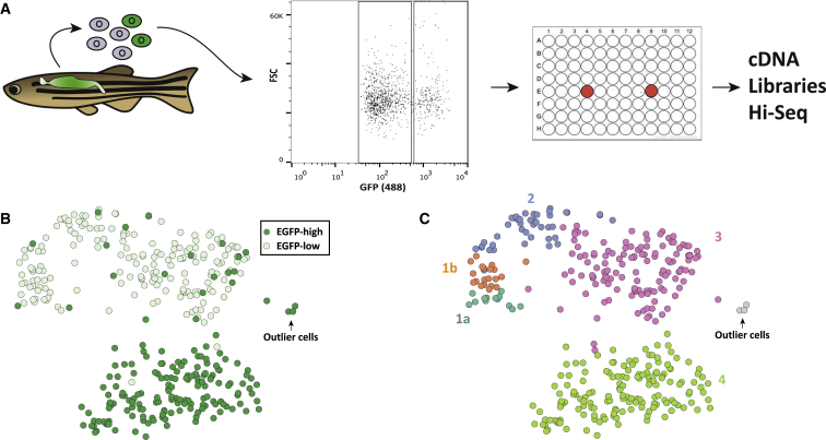 Figure 1