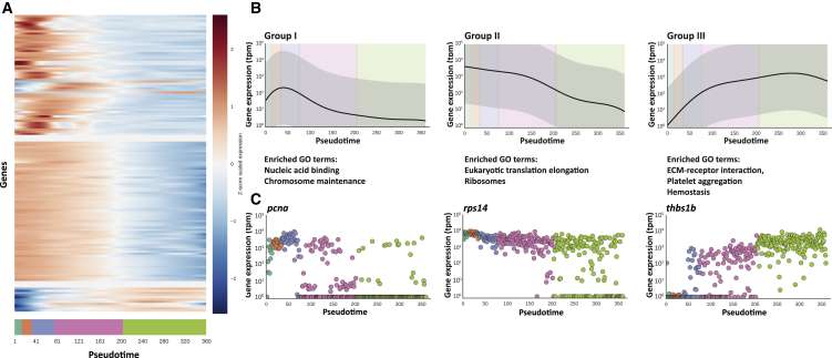 Figure 6