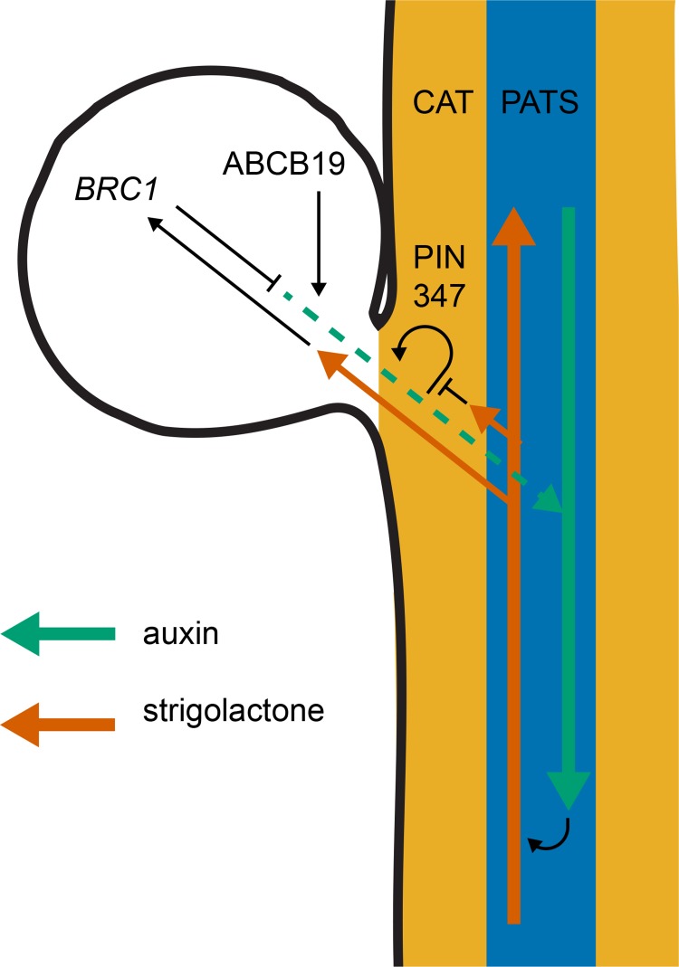 Fig 9