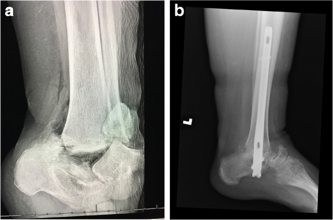 Fig. 5