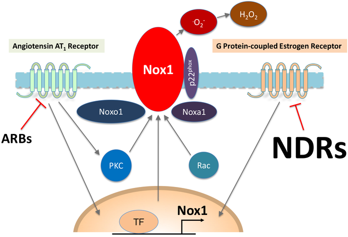 Figure 1.