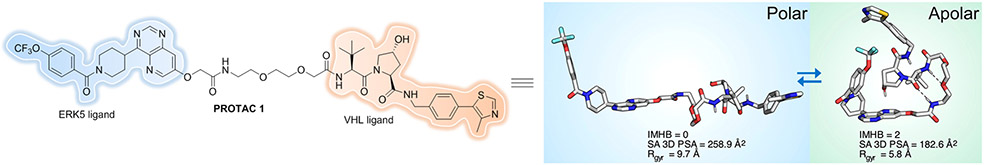 Figure 21.