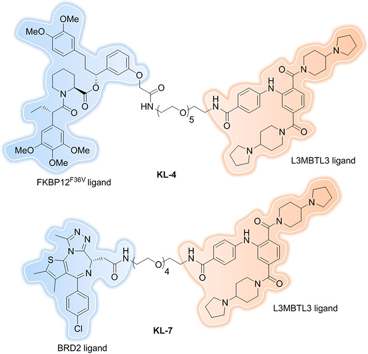 Figure 19.