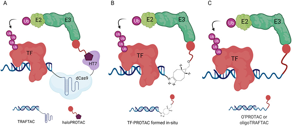 Figure 13.