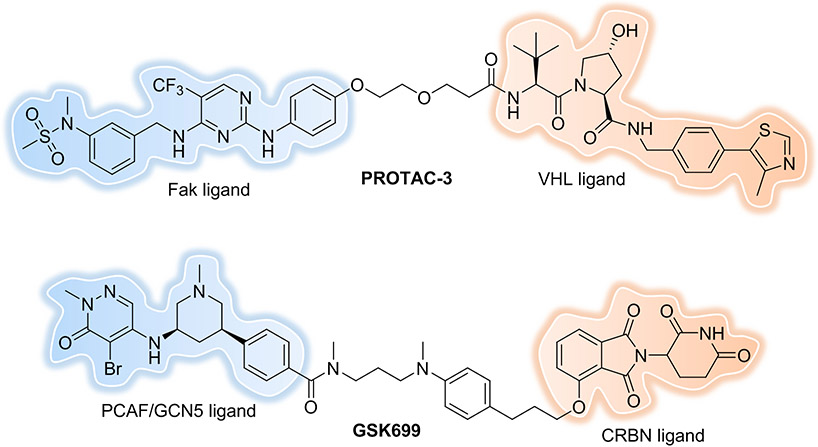 Figure 11.