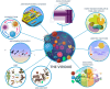 The ecological and evolutionary drivers of viromes.