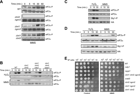 FIG. 4.