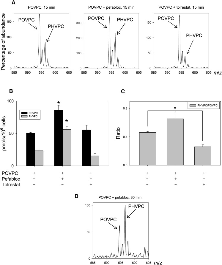 Fig. 4.