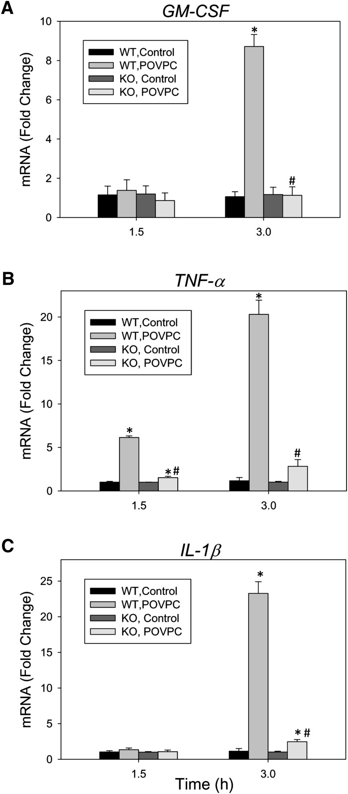 Fig. 8.