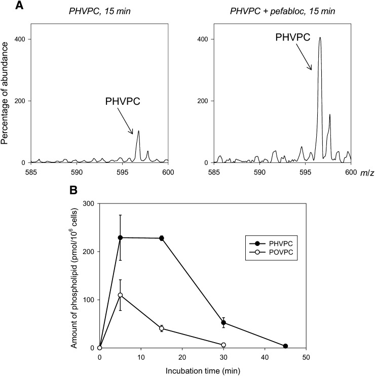 Fig. 5.