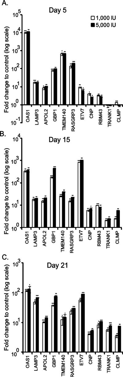 Figure 5