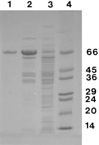 FIG. 6