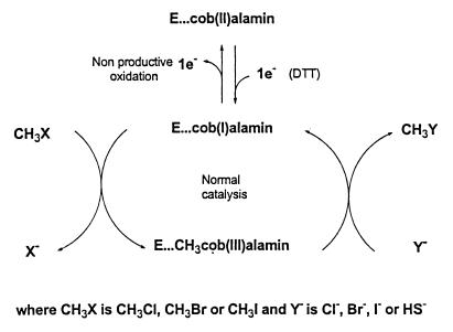 FIG. 9