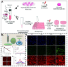 Figure 22