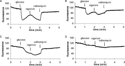 FIG. 2.