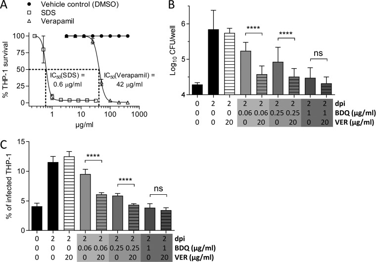 FIG 2