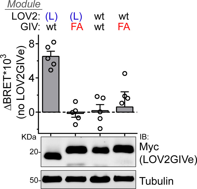 Figure 3—figure supplement 2.