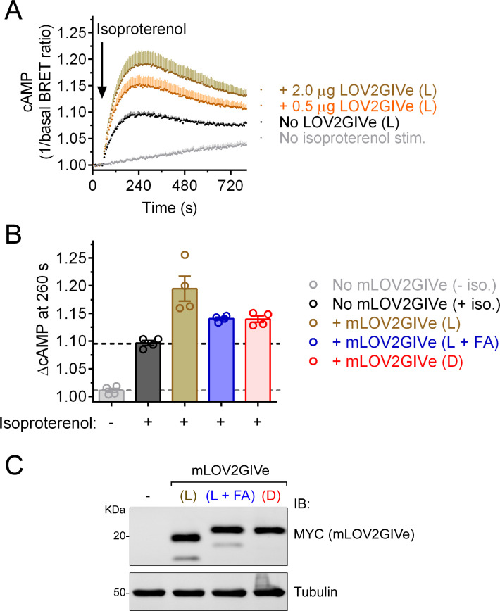 Figure 3—figure supplement 3.