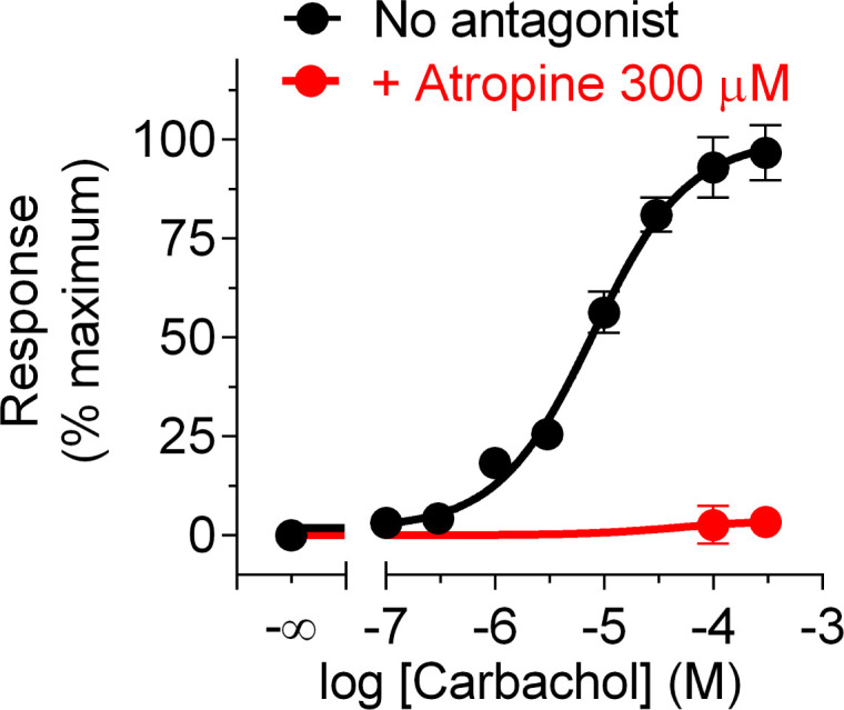 Figure 3—figure supplement 1.